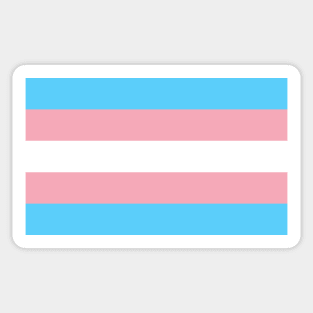 trans pride Sticker